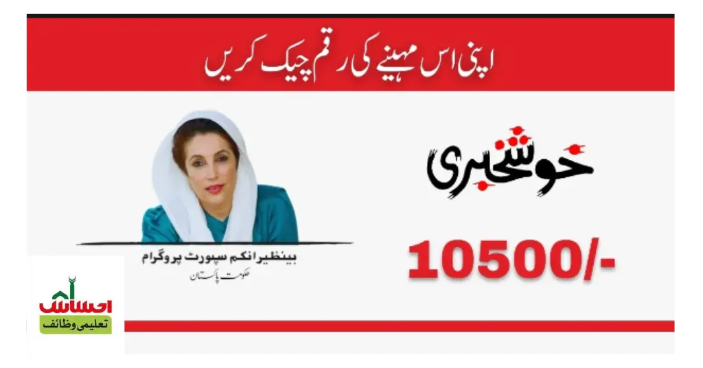 Online Apply for Benazir 10500 Ramzan Relief Everything You Need to Know